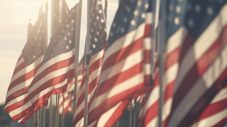 Veterans day 2024 army